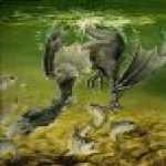 thumb_116 (Medium).jpg